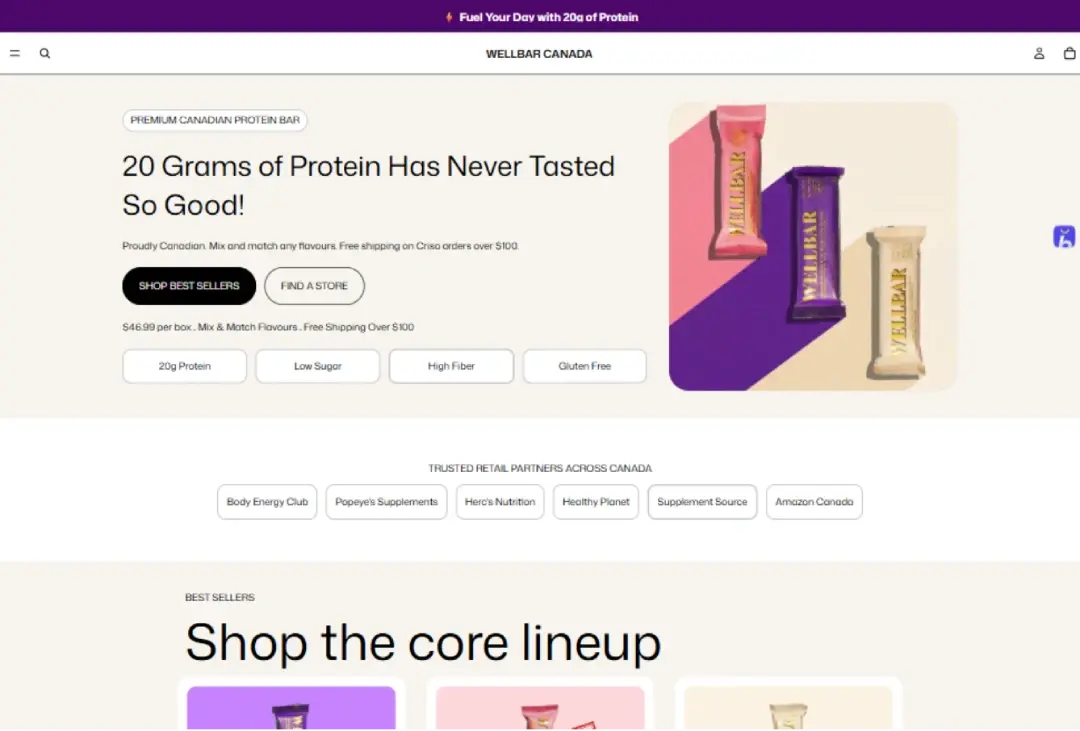 Well-Bar Canada website preview from the Ideal Tech Global portfolio